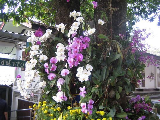 Sieht toll aus, oder?