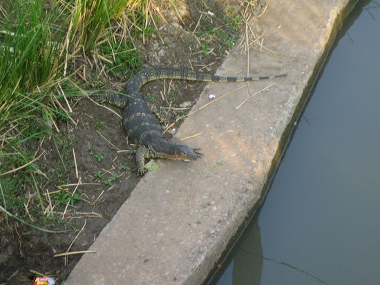 das ist die kleine Variante, es gab sie auch noch um einiges groesser