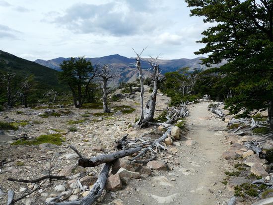 Rueckweg vom Fitz Roy