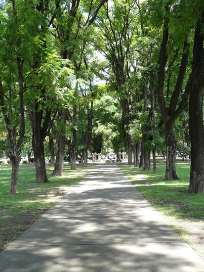 Allee in Salta