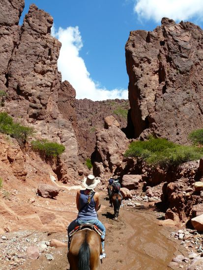 Astra und der Rest der Truppe