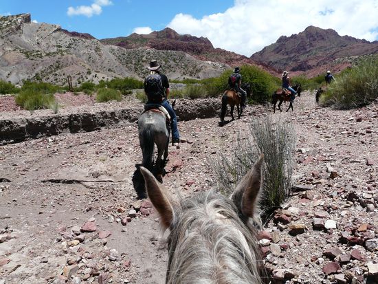 unser Ausritt und ein Teil von Joergs Pferd