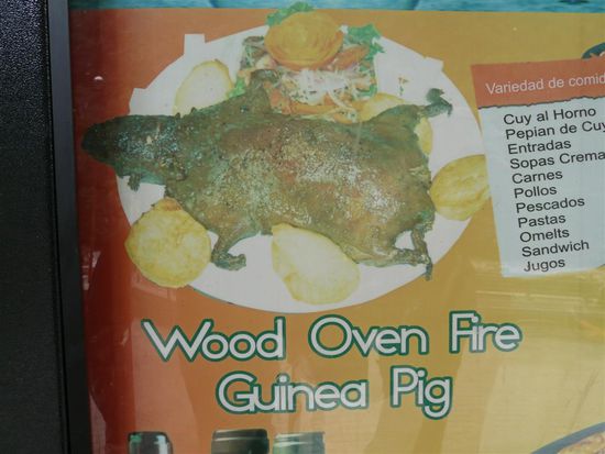 Werbung fuer ein Meerschweinchengericht