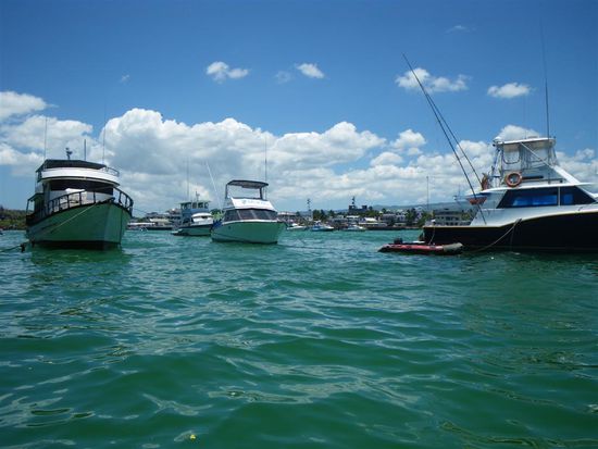 Hafen von Puerto Ayora