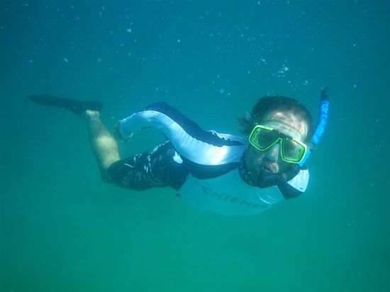 Fockenbergus nauticus