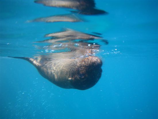 ...wo ist hier oben und unten? Wir koennen beim Rueckenschwimmen unter Wasser auf jeden Fall nicht schlafen...