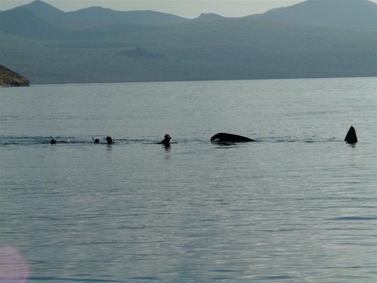 ...die Verfolger vom Boot aus