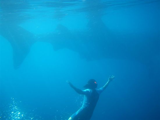 ...und final der Groessenvergleich mit unserem Guide