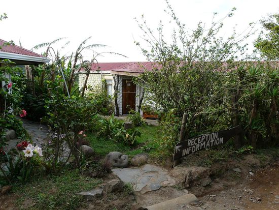Tinas Casitas