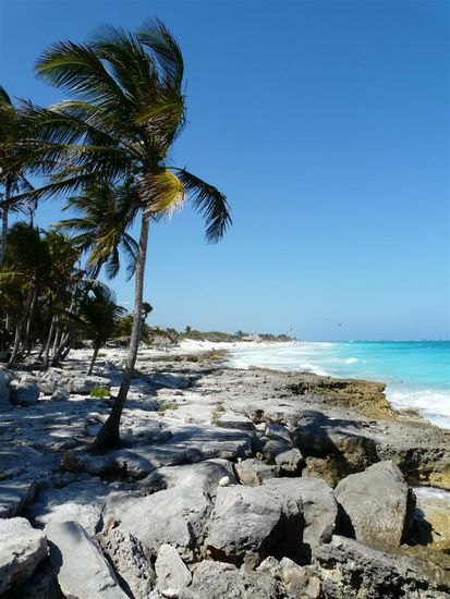 Der erste Blick auf den Strand und die Karibik...