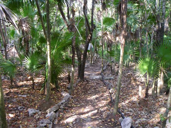 Weg zum "Haus am See"