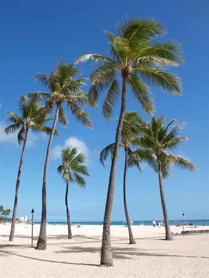 Das sieht schon anders aus...