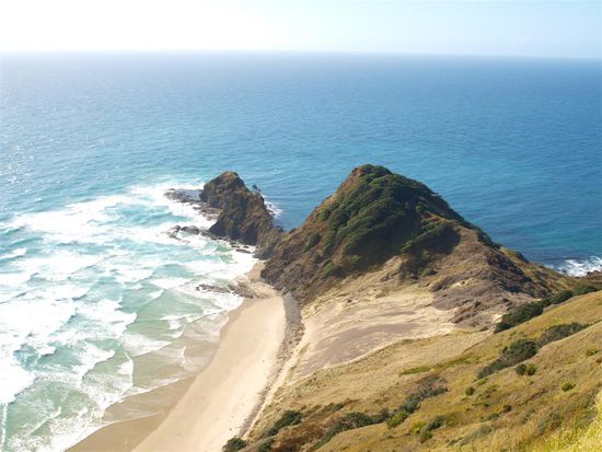 Seht Ihr den heiligen Baum?