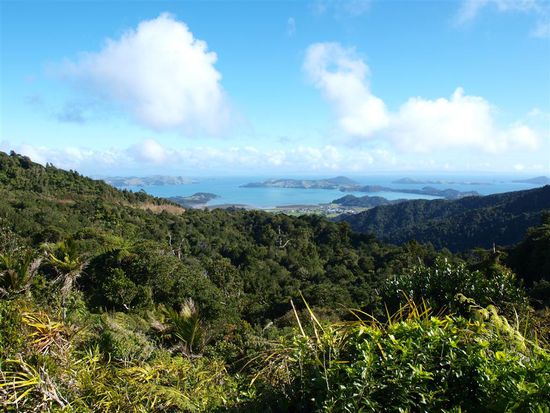 Blick auf Coromandel Town