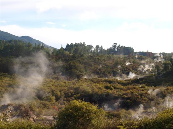 Hermann Loens, die Heide brennt   