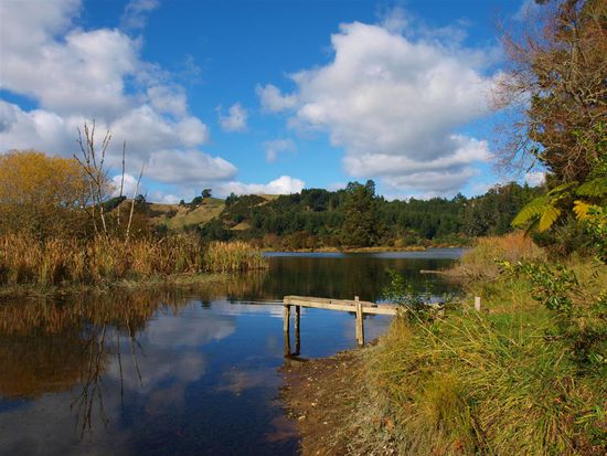 Waikato River...schade dass wir nicht mehr Zeit hatten, diese bezaubernde Landschaft von Mittelerde zu erkunden...