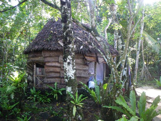 Unsere Gartenfale...