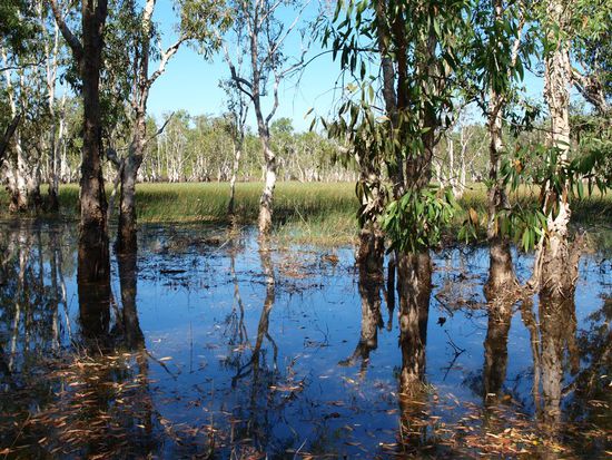 Wetlands im Nationalpark