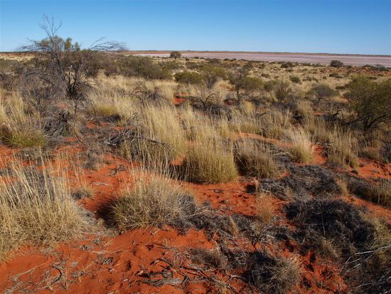 Rote Duenen und im Hintergrund eine Salzwueste.
