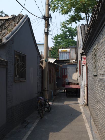 Hutongs sind enge Gassen, die in Peking bis in die 1990er Jahre hinein eine der vorherrschenden traditionellen Wohnbebauungen waren.
In den Hutongs Pekings sieht man noch die traditionellen Wohnhoefe (Siheyuan). Heute gibt es in Peking jeden Tag weniger Hutongs. Sie werden auf Grund der Umgestaltung des Stadtzentrums zunehmend seltener. Auf der Flaeche eines Hutongs mit der meist einstoeckigen Bebauung lassen sich in moderner Geschossbauweise wesentlich mehr Wohnungen unterbringen. Es ist abzusehen, dass schon in wenigen Jahren kaum noch originale Hutongs im Stadtzentrum anzutreffen sein werden, vermutlich jedoch bald als Museumsdorf zu besichtigen sein duerften.