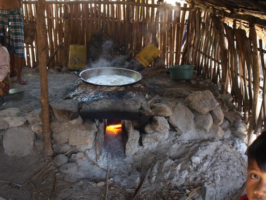 Gewinnung von Palmzucker