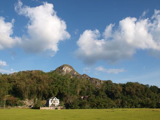 Die Aussicht vom Balkon auf Reisfeld und Urwald.