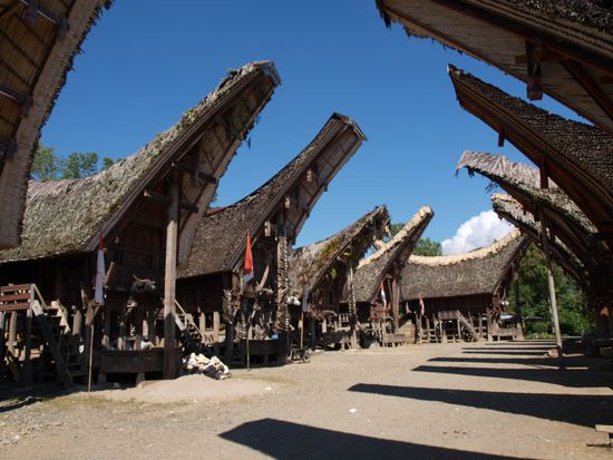 Links die klassischen Torajahaeuser in Schiffsform.