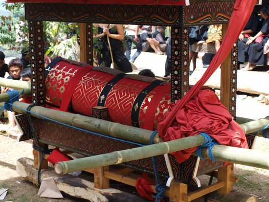 Der ernsthaft Kranke.