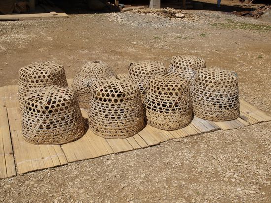 Unter den Koerben sitzen Kampfhaehne.