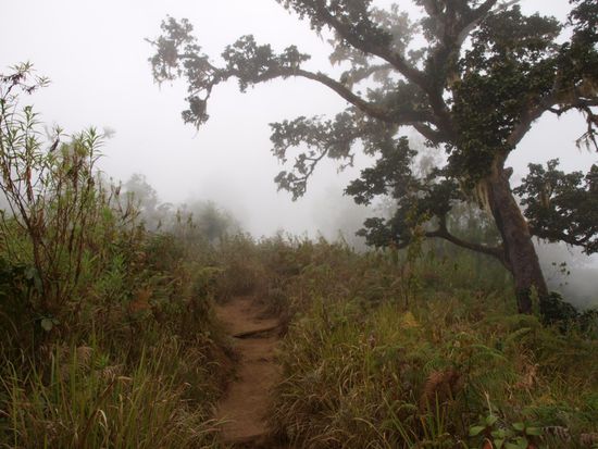 ...und nebelig so inmitten der Wolken!