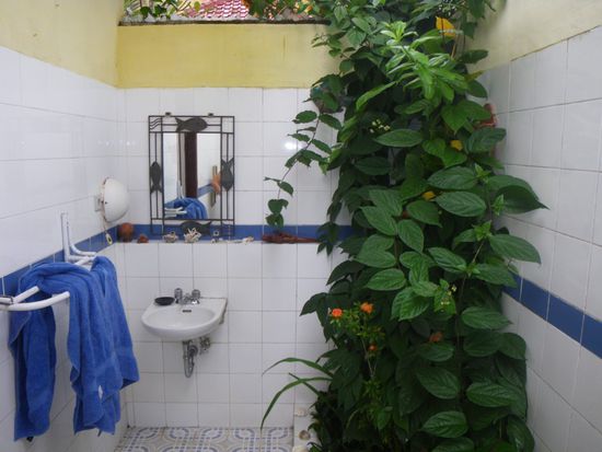 Unsere Freilufttoilette in Senggigi.