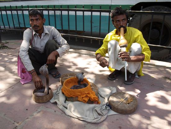 Da Schlangen taub sind ist es extrem wichtig, dass die Floete bewegt wird, da die Kobra ansonsten nicht "tanzt"...