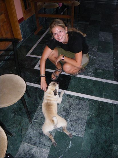 Unser megacooler Guesthousemopps!