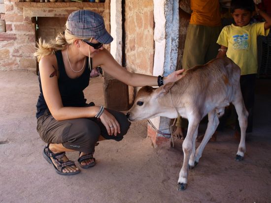 Ein sieben Tage altes Kaelbchen.