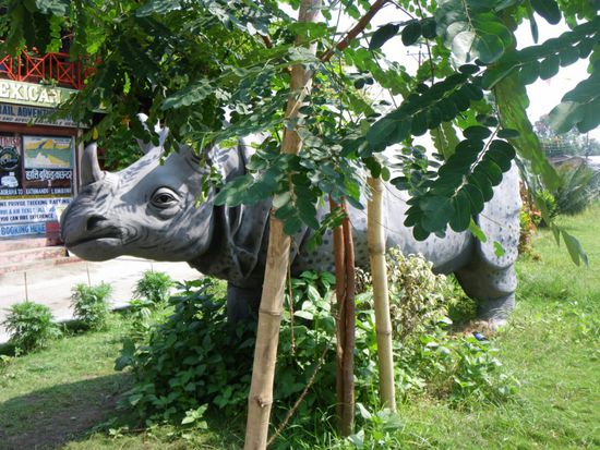 ...im Ort fanden wir dann doch noch ein Nashorn! 