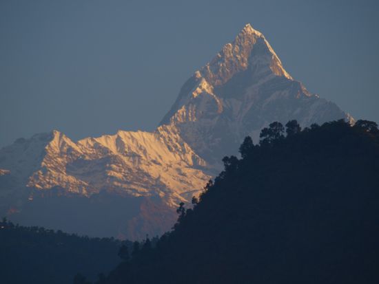 Morgendlicher Ausblick aus unserem Fenster auf den Machhapuchhre.
Der Machhapuchhre ist 6.997 Meter hoch, gehoert zum Annapurna-Massiv und liegt 25 km noerdlich von Pokhara. 
1957 konnten sich die Englaender David Cox und Wilfrid Noyce, Teilnehmer einer Expedition unter der Leitung von James Roberts, bis auf die letzten 50 Meter dem Gipfel naehern. Schon bis dahin erwies sich der Berg als extrem schwierig. Hier allerdings mussten beide wegen der technischen Schwierigkeiten der letzten Meter endgueltig umdrehen. Der bei der einheimischen Bevoelkerung heilige Berg wurde 1964 vom nepalesischen Koenig mit einem Besteigungsverbot belegt, es gibt das Geruecht, dass dies durch Anregung des Expeditionsleiters James Roberts geschah. 
In den 80er Jahren soll es eine illegale Erstbesteigung durch den Neuseelaender Bill Denz gegeben haben. Da Bill Denz jedoch 1983 am Makalu toedlich verunglueckte, ist dies heute schwer nachzupruefen.
