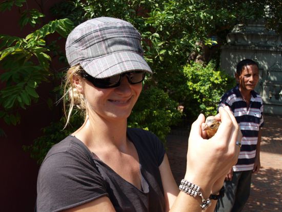 Fuer einen Dollar kann man an buddhistischen Tempeln Voegel freilassen. Soll Glueck bringen. Einen Versuch ist es wert.