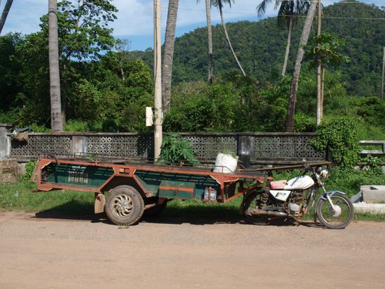 Massentransport Tuk Tuk I