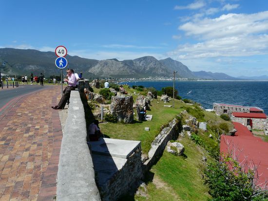 Hermanus