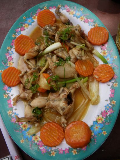 Dreimal duerft ihr raten! Faengt mit "F" an...