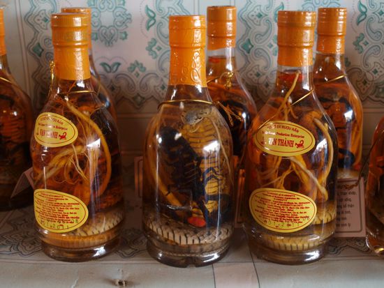 Schlangenwein mit Skorpion. Das enthaltene Gift macht angeblich muede Maenner munter!