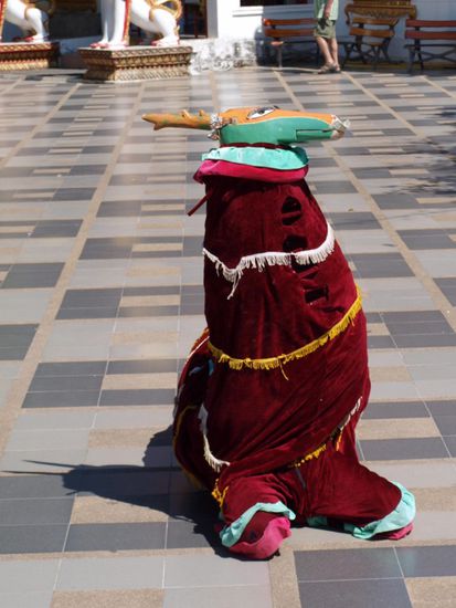 Wie man dieses Wesen nennt, haben wir leider nicht herausgefunden.