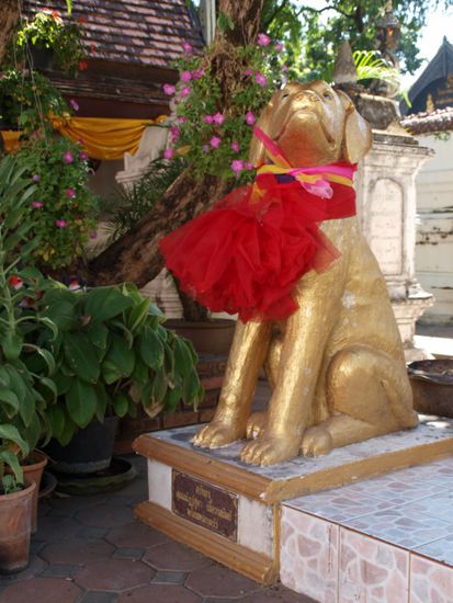 ...was man nicht so alles verehren kann!