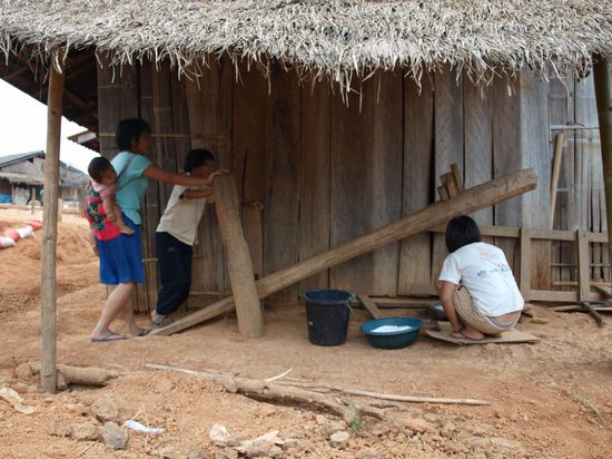 Erzeugung von Reismehl