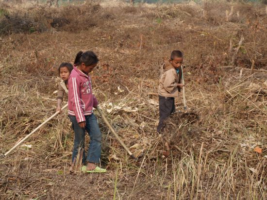 Sieht man unterwegs leider sehr oft: Kinder bei der Feldarbeit.