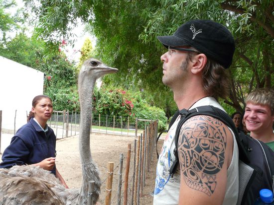 Hier wurde Joerg gerade vom Strauss in die Lippe gebissen!