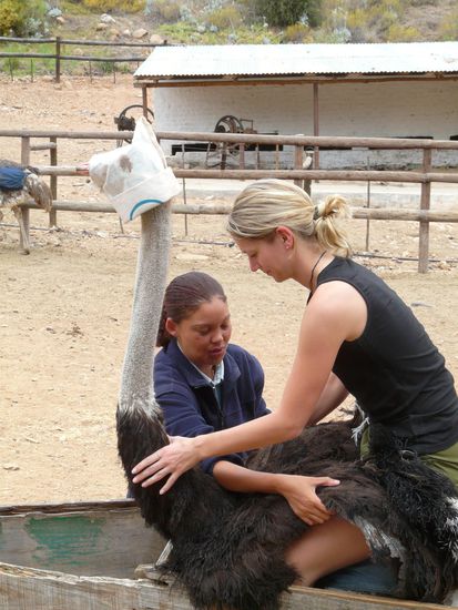 Uih. Hoffentlich geht das gut!