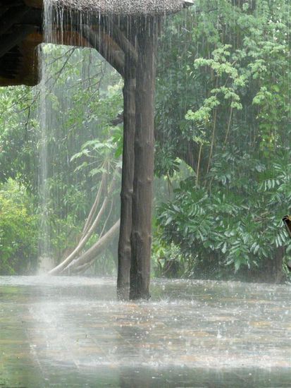 Weihnachtsregen! Aber immerhin warm!