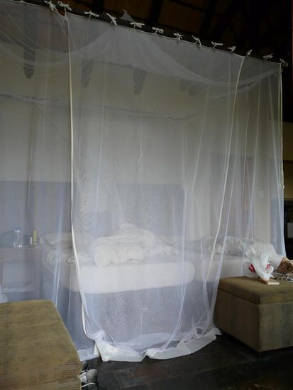 unser Weihnachtsgeschenk