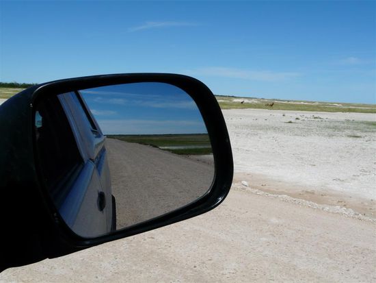 Etosha NP